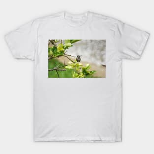 slb hummingbird T-Shirt